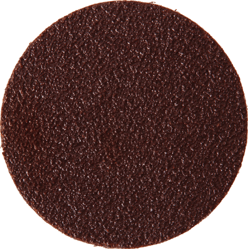 BIBIELLE 51mm Quick Change Alu Oxide P80 BIBIELLE 51mm Quick Change Alu Oxide P80