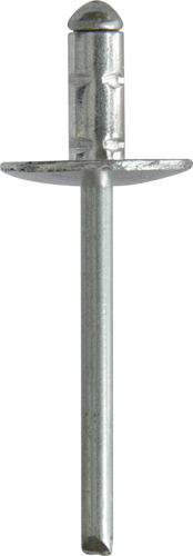 Multigrip Rivet 4.8 x 10mm Large Flange Multigrip Rivet 4.8 x 10mm Large Flange