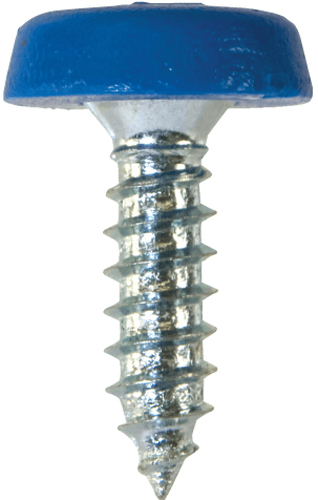 Number Plate Screws No.10 x 18mm Blue Number Plate Screws No.10 x 18mm Blue