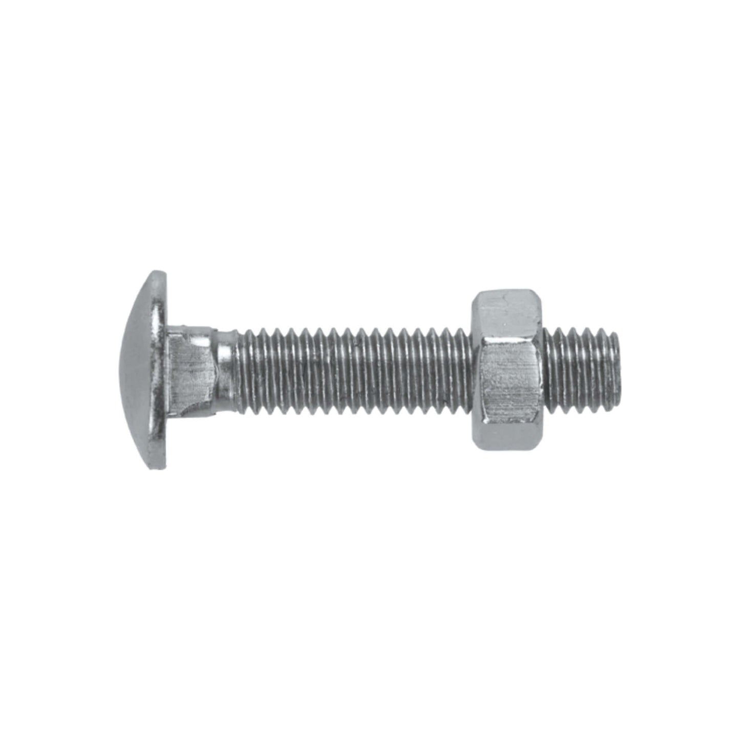 Coach Bolt & Nut M6 x 25mm Coach Bolt & Nut M6 x 25mm for Heavy-Duty Applications