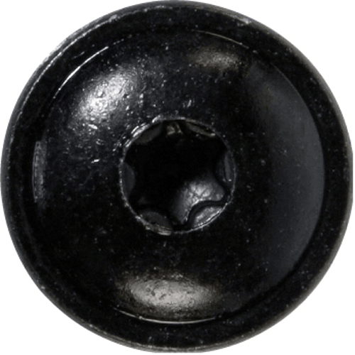 Black Body Screws (10 x 5/8) 4.8 x 16mm TX20 Black Body Screws (10 x 5/8) 4.8 x 16mm TX20