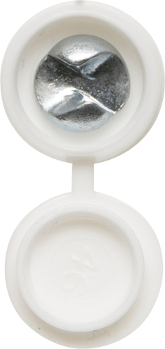 Assorted security Number Plate fasteners showing a silver screw with a white plastic base.