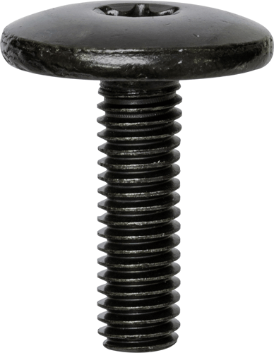 Torx Large Head Bumper Bolts Torx Large Head Bumper Bolts