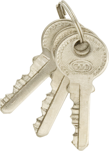Padlocks Brass Long Shackle 38mm