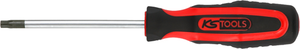 KS ERGO plus Screwdriver TP10 x 100mm