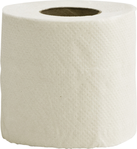 Toilet Rolls 2-ply Sheets