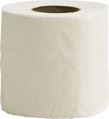 Toilet Rolls 2-ply Sheets